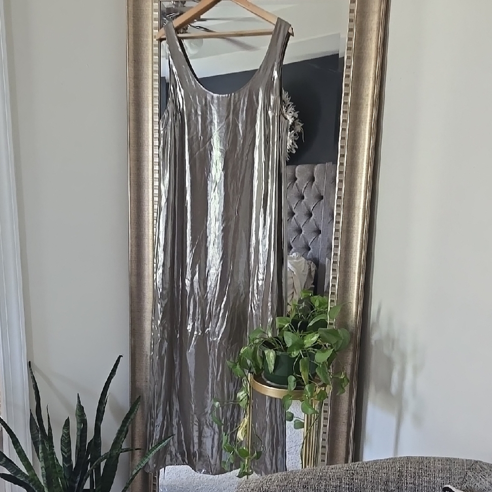 Banana Republic Silver Maxi Dress